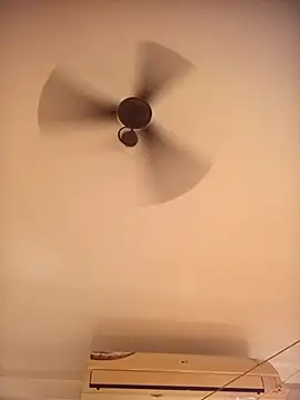 RubyEntity online show from 8, 11, 2025