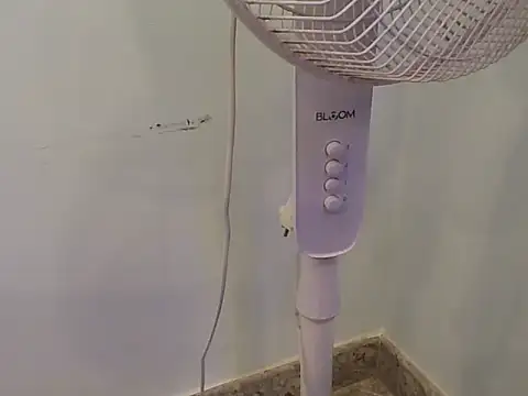 hootypriya online show from 26, 2, 2026