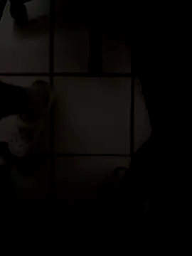 drpapi1942 online show from 10, 11, 2025