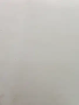 sanjana077 online show from 3, 3, 2026