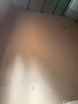 Dilen 7533 online show from 13, 11, 2025