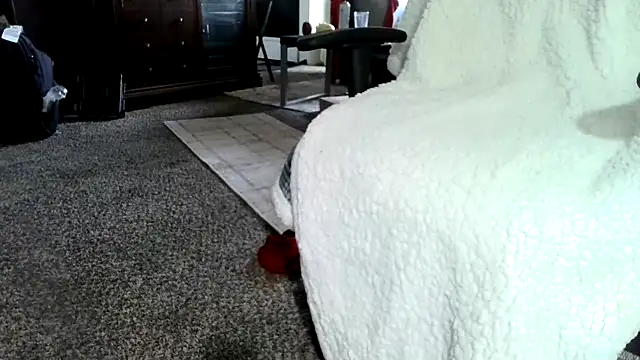 wagleman online show from 19, 3, 2026