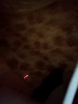 Stella a online show from 1, 12, 2025