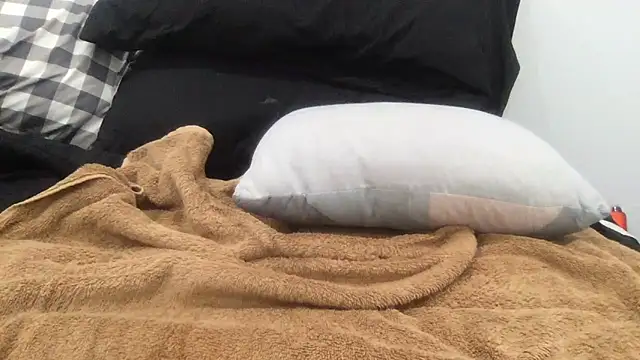 Pull N Tug1 online show from 3, 2, 2026