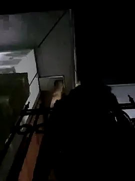 ParlousCarpet online show from 8, 4, 2026