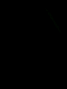Snapshot of ParlousCarpet chatting on 5, 5, 2026 ParlousCarpet online show from 5, 5, 2026