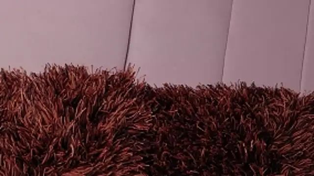 LannyShell online show from 26, 3, 2026