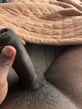 newboy02 online show from 28, 2, 2026