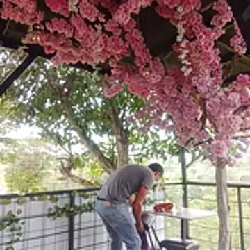 sexlocos online show from 8, 11, 2025