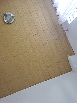 TirelessLot3 online show from 8, 3, 2026