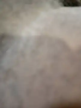 Telonet online show from 19, 4, 2026