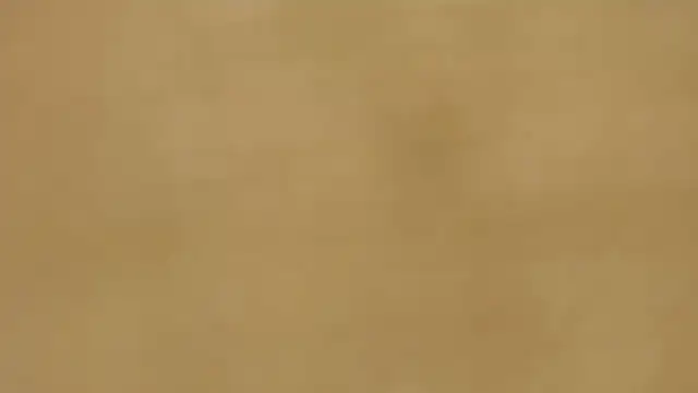 quenn-squirtanal online show from 26, 3, 2026