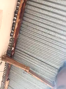 Snapshot of Momojasmine0 chatting on 7, 11, 2025 Momojasmine0 online show from 7, 11, 2025