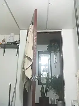 prototipoA45 online show from 22, 2, 2026