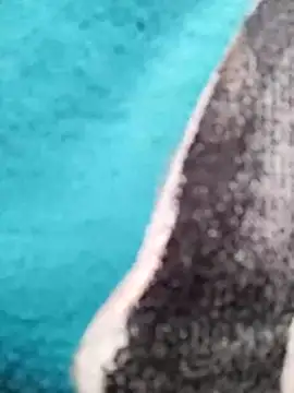 Lynn-122 online show from 6, 3, 2026