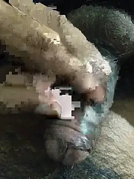 its  aaru online show from 8, 11, 2025