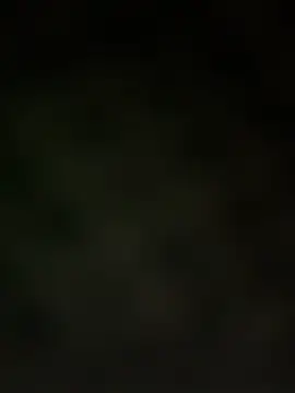 trickydickydaddy online show from 13, 3, 2026