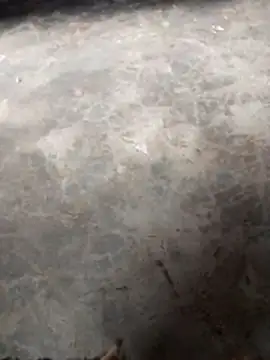 Snapshot of WillfulVideo chatting on 12, 11, 2025 WillfulVideo online show from 12, 11, 2025