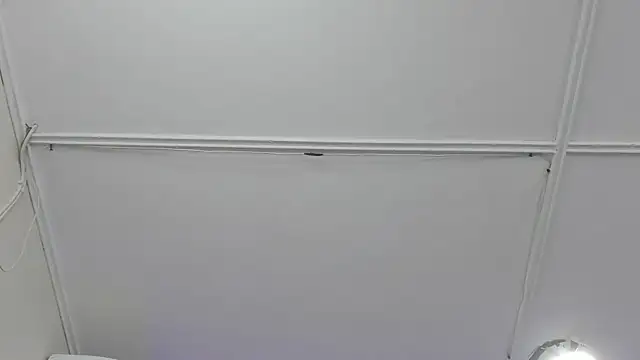 trevor belmontt online show from 26, 11, 2025