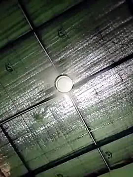 Keya-009 online show from 21, 4, 2026