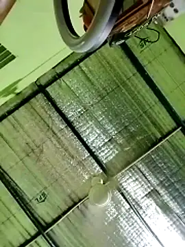 Keya-009 online show from 20, 3, 2026