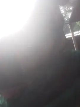 jacka 305 online show from 24, 11, 2025