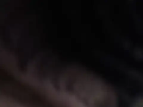 dayan hanks online show from 19, 12, 2025