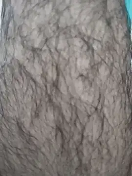 hyderabad single online show from 29, 11, 2025