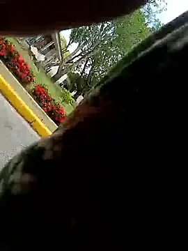 MonasticCanine online show from 10, 1, 2026