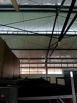 MonasticCanine online show from 26, 11, 2025