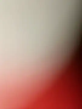 MonasticCanine online show from 22, 12, 2025