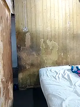 Alana phs online show from 25, 11, 2025