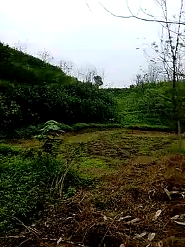 Cloud-wh online show from 5, 3, 2026