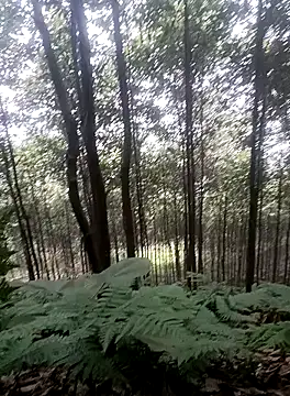 thuy-kieu online show from 9, 1, 2026