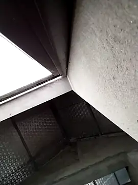 m-mbae online show from 3, 4, 2026