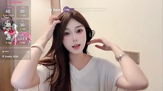 Snapshot of Fairy-CC chatting on 23, 11, 2025 Fairy-CC online show from 23, 11, 2025