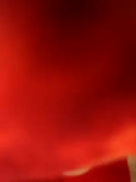 Ragner-6 9 online show from 9, 3, 2026