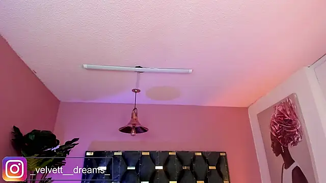 Velvet Dreamss online show from 3, 6, 2026