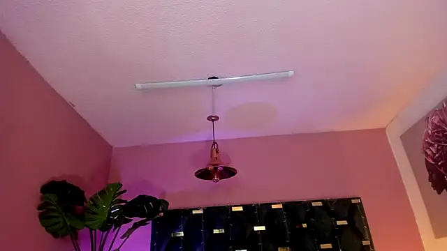 Velvet Dreamss online show from 26, 3, 2026