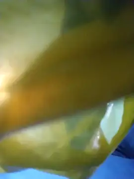 Snapshot of chim-yen chatting on 19, 11, 2025 chim-yen online show from 19, 11, 2025