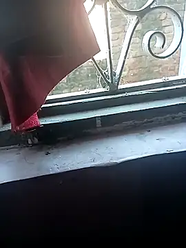 hotyyyyjonny online show from 18, 11, 2025