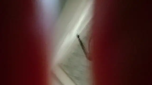 Snapshot of Natali-Gucci chatting on 12, 11, 2025 Natali-Gucci online show from 12, 11, 2025