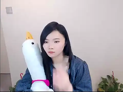 Shaurk online show from 17, 1, 2026