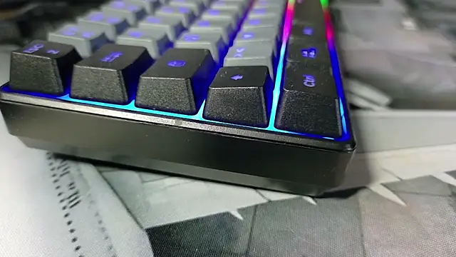 Chrisatmiami online show from 12, 3, 2026