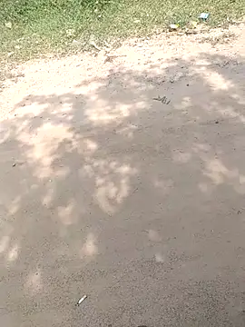 Snapshot of summa_renu chatting on 15, 11, 2025 summa renu online show from 15, 11, 2025