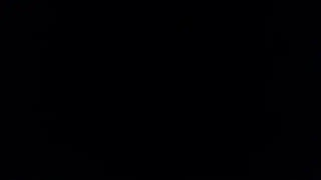 Brandy collinss online show from 8, 2, 2026