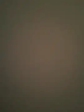 Zepouvinho online show from 3, 4, 2026