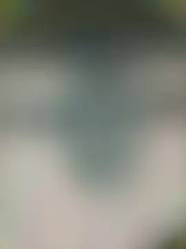 piggylatino online show from 18, 4, 2026