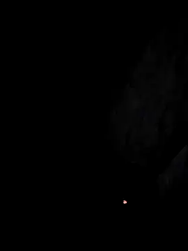 arcacsel online show from 29, 11, 2025