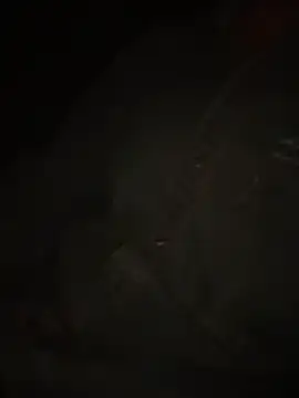 Dihotbi online show from 25, 11, 2025